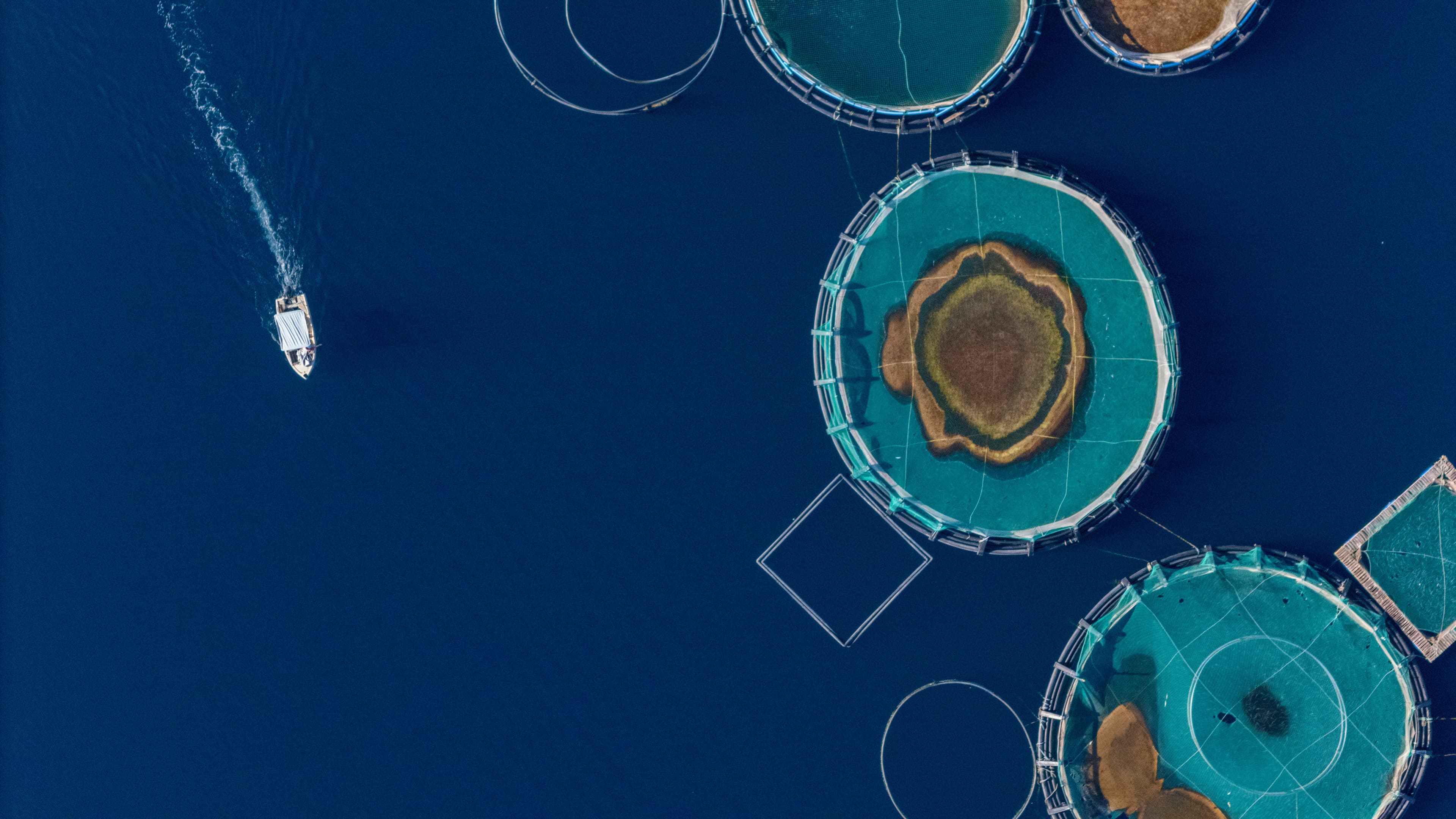 AJA Biofactory