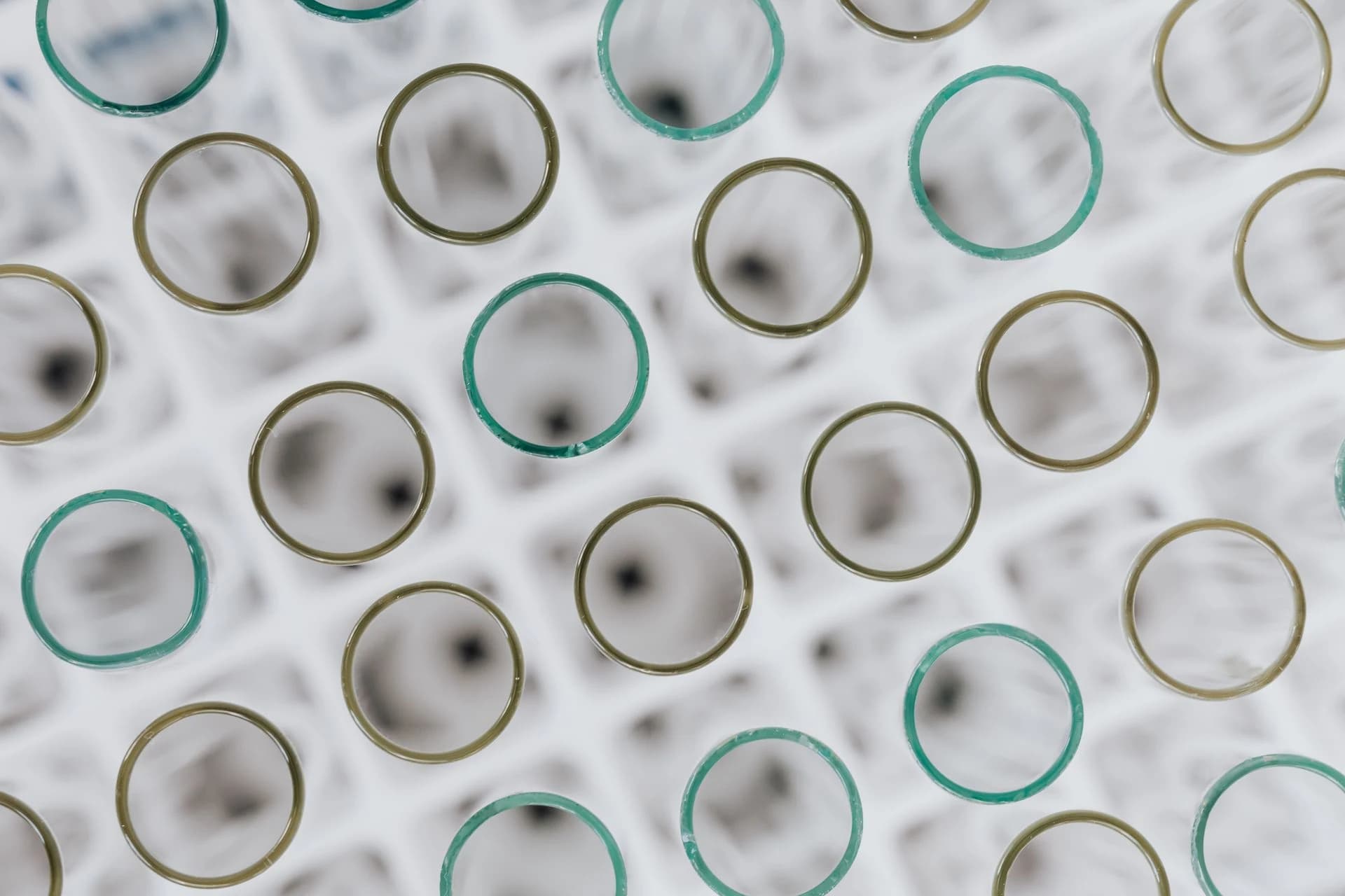 Future marine biotechnology research