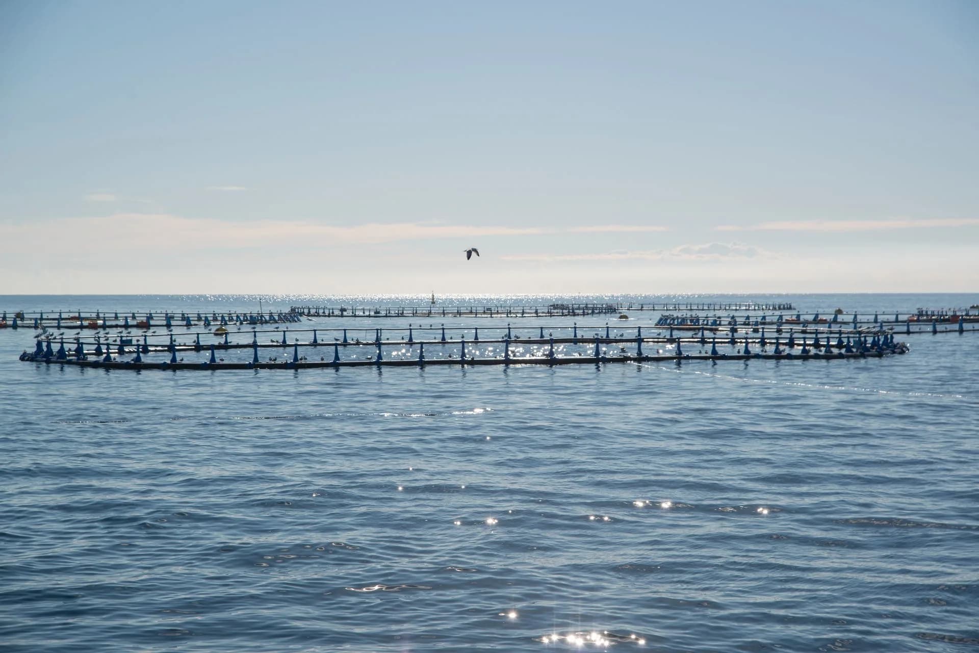 Sustainable Marine Innovation